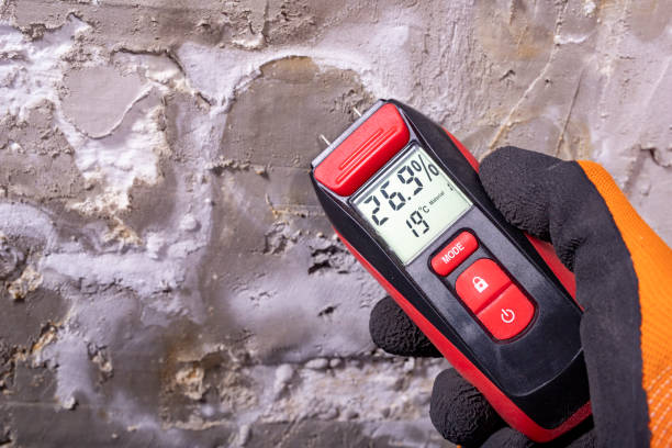 Best Commercial Mold Remediation in Desert Hot Springs, CA